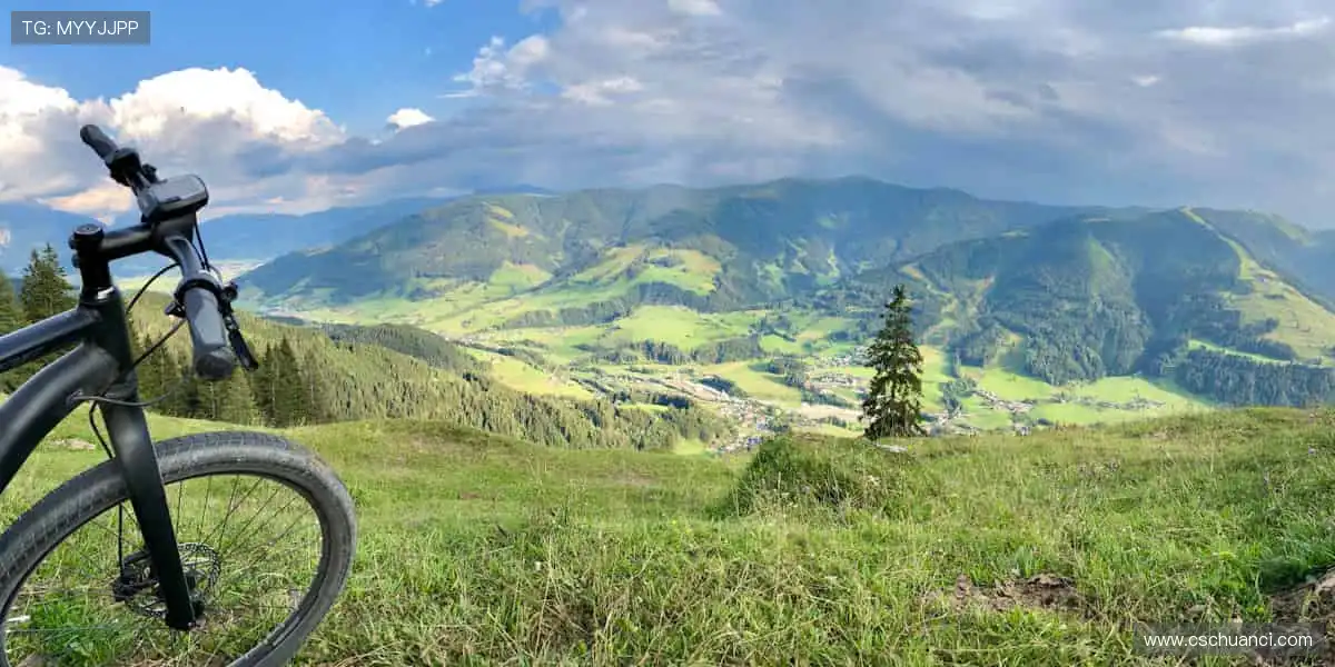 海量正版周边,让热爱触手可及!🎁⚽️🏀❤️