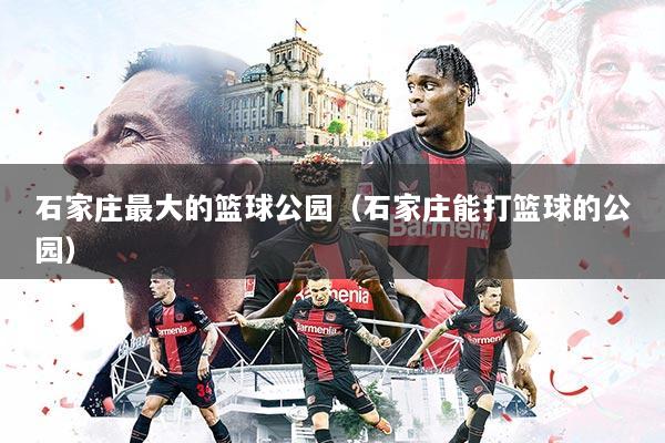 石家庄最大的篮球公园(石家庄能打篮球的公园)