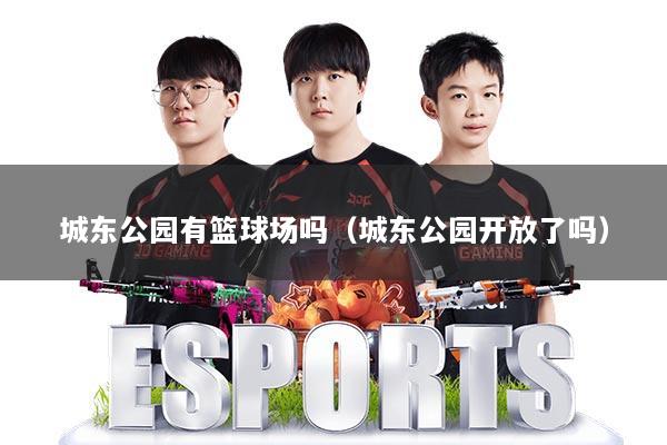 城东公园有篮球场吗（城东公园开放了吗）