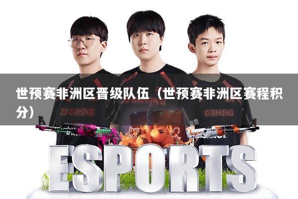 世预赛非洲区晋级队伍（世预赛非洲区赛程积分）