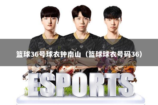 篮球36号球衣钟南山（篮球球衣号码36）