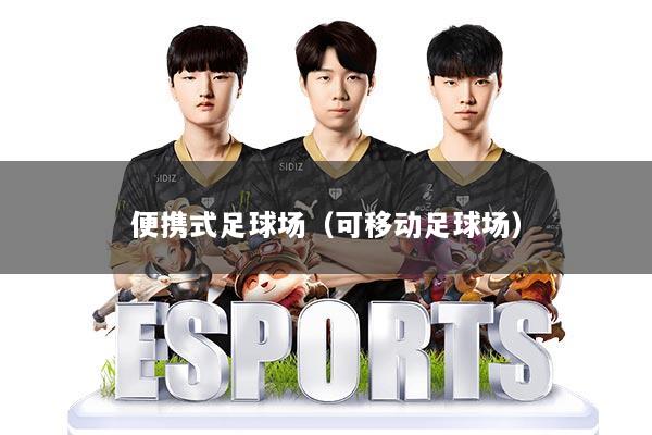 便携式足球场（可移动足球场）