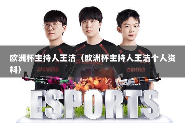 欧洲杯主持人王洁（欧洲杯主持人王洁个人资料）