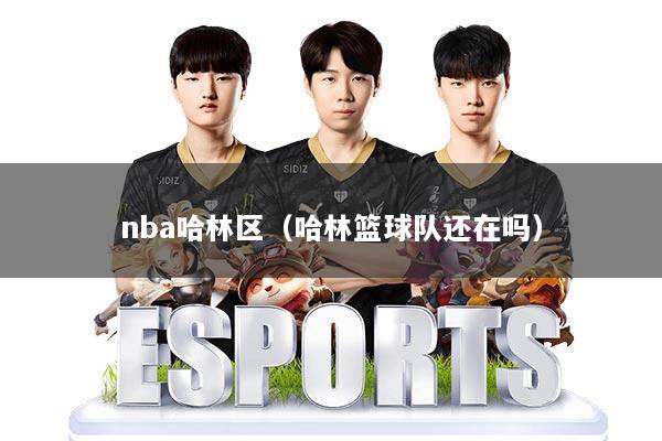nba哈林区(哈林篮球队还在吗)