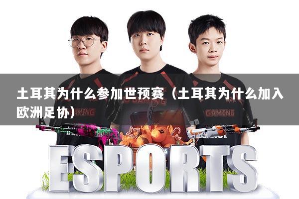 土耳其为什么参加世预赛（土耳其为什么加入欧洲足协）