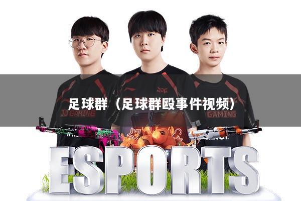 足球群（足球群殴事件视频）